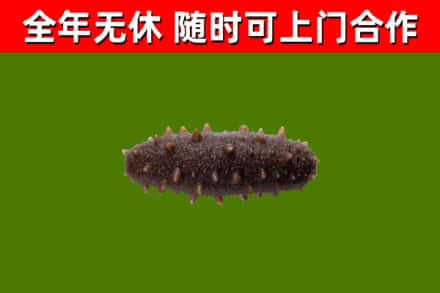 汇川区烟酒回收干海参.jpg